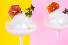 Load image into Gallery viewer, Dehydrated Lemons - citrus cocktail garnishes
